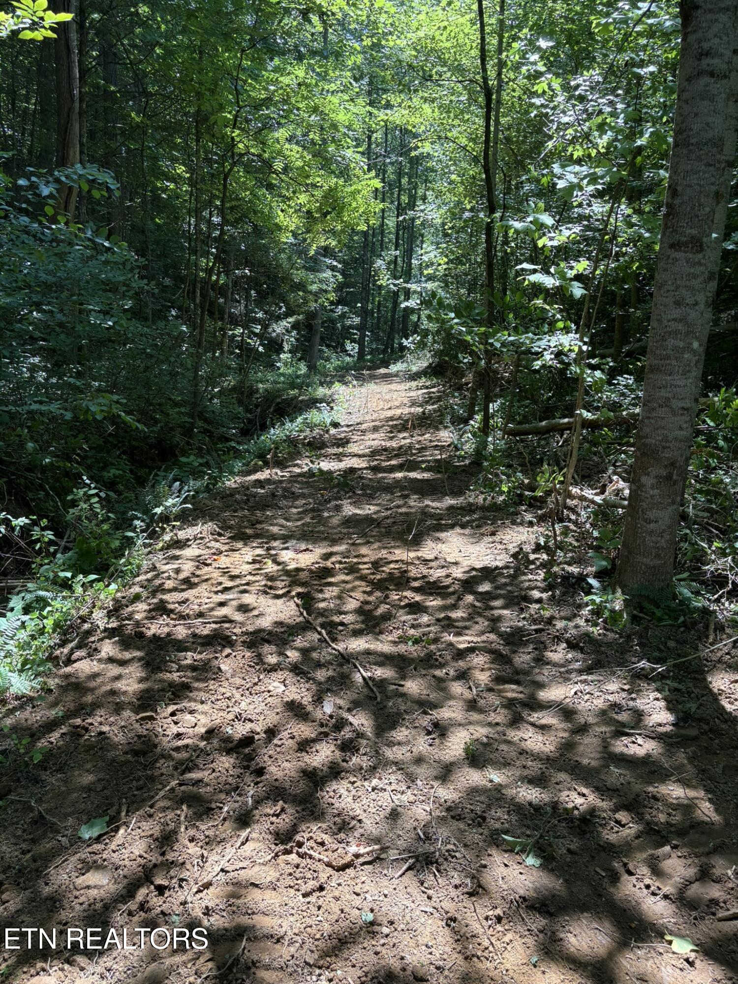 Oak Lake Drive Drive Sevierville TN 37876