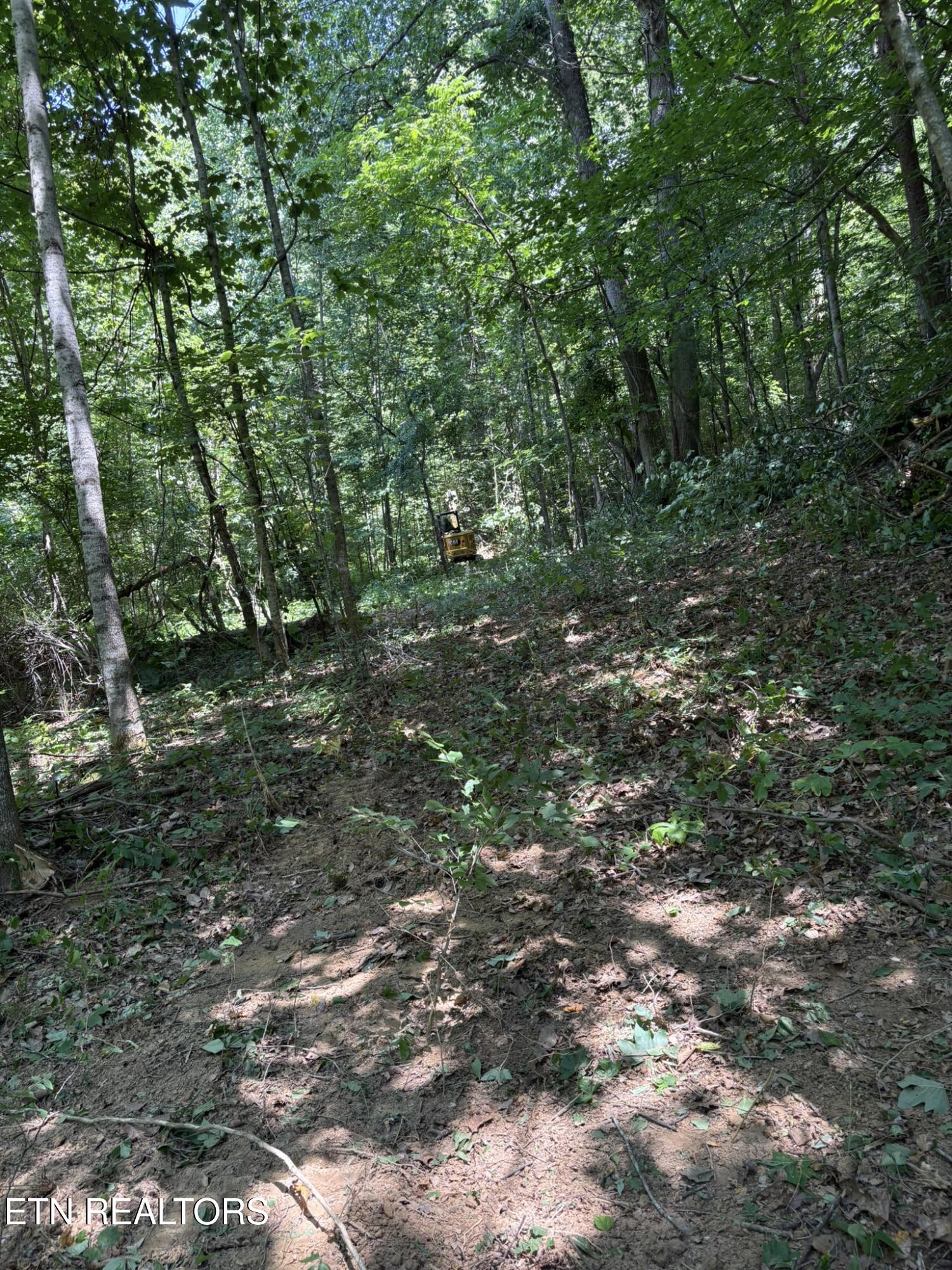 Oak Lake Drive Drive Sevierville TN 37876
