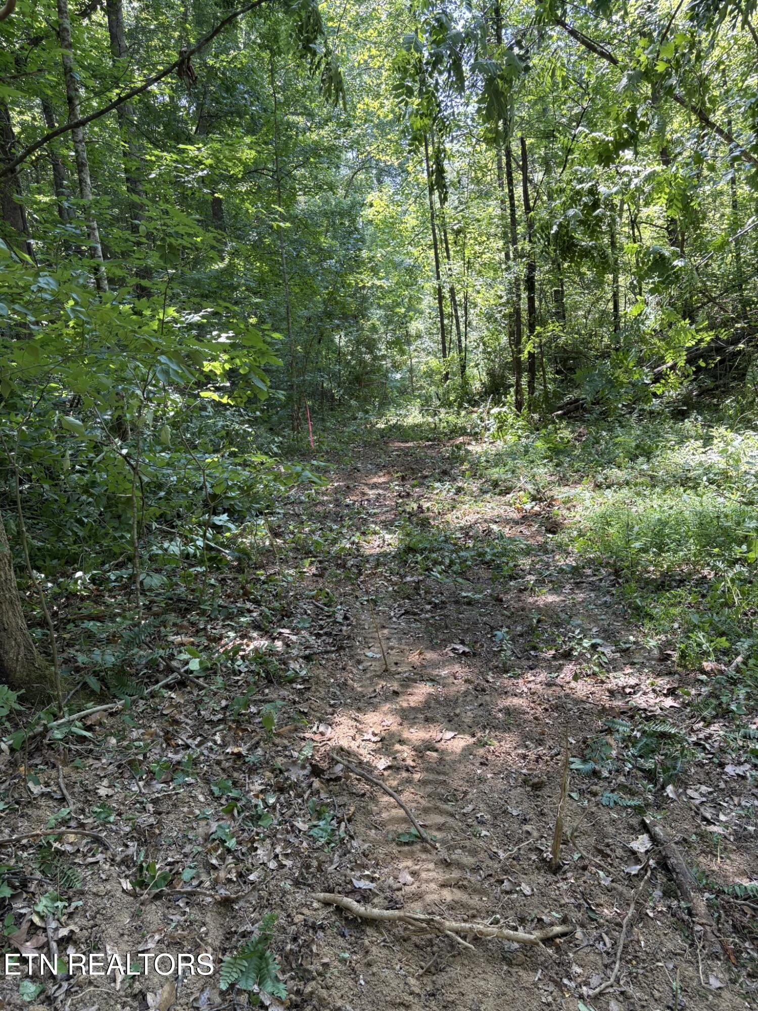 Oak Lake Drive Drive Sevierville TN 37876