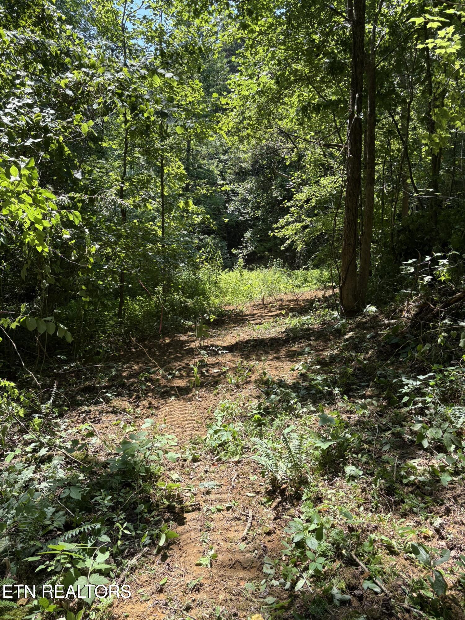 Oak Lake Drive Drive Sevierville TN 37876