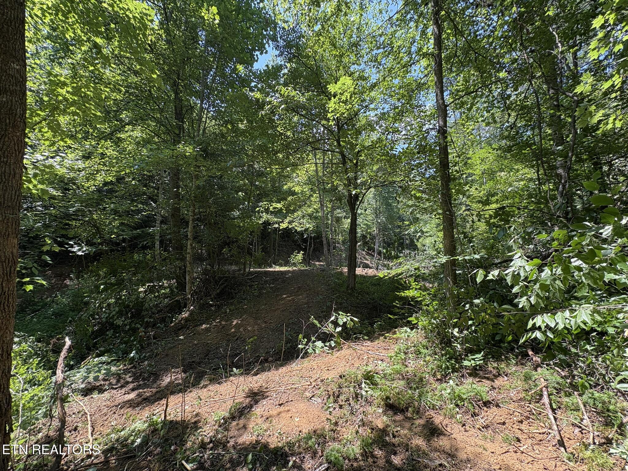 Oak Lake Drive Drive Sevierville TN 37876