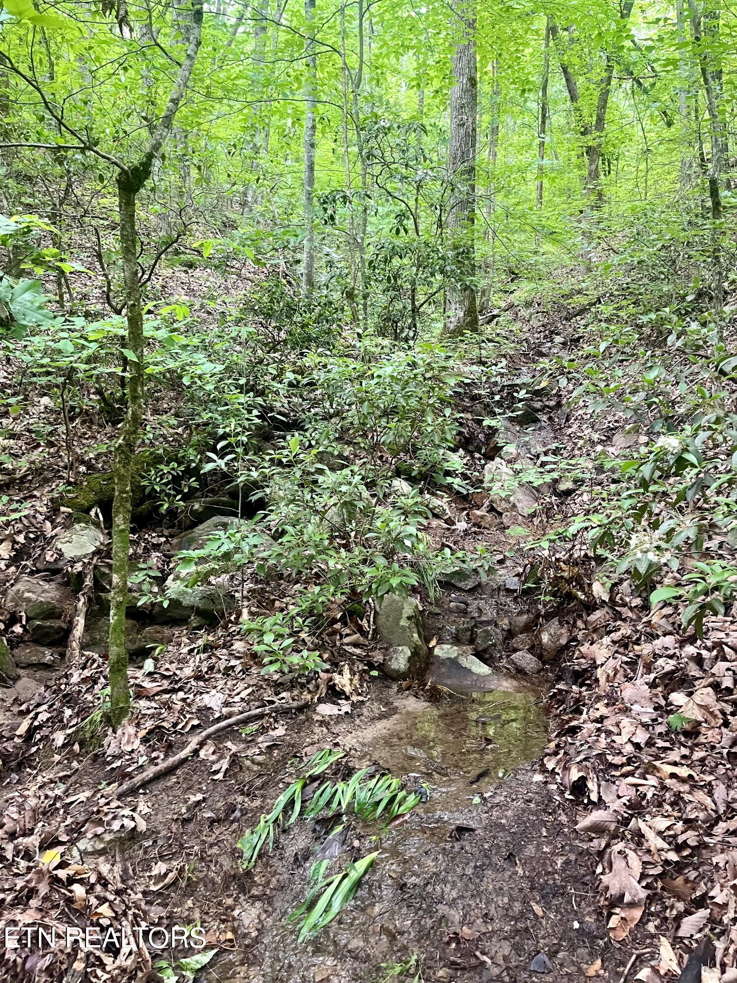 Cherokee Circle Tallassee TN 37878
