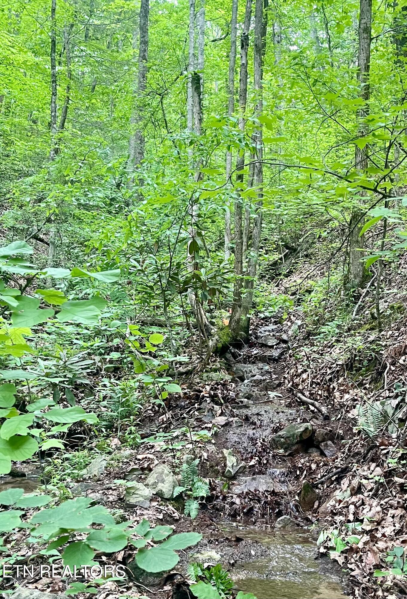 Cherokee Circle Tallassee TN 37878