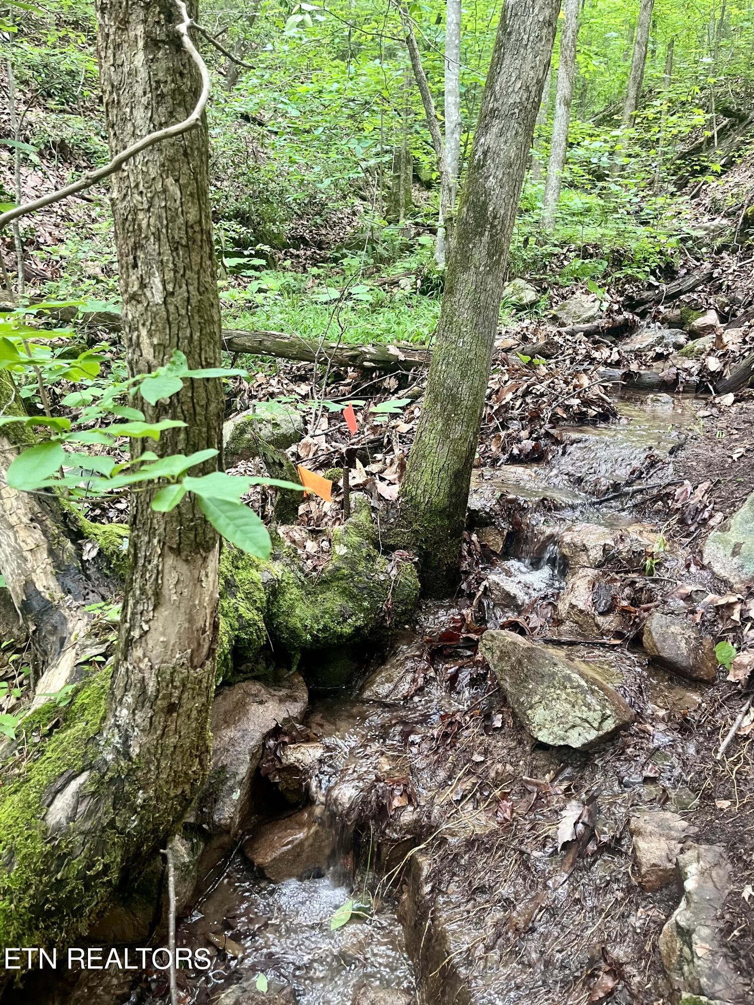 Cherokee Circle Tallassee TN 37878