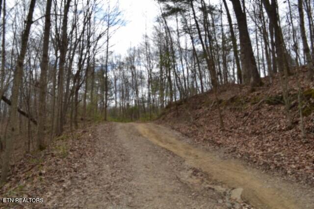 10.79AC S/o Buffalo Road Oneida TN 37841