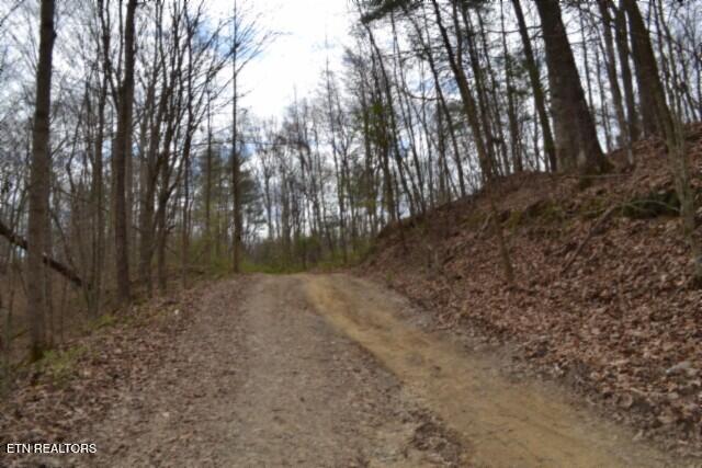 10.79AC S/o Buffalo Road Oneida TN 37841