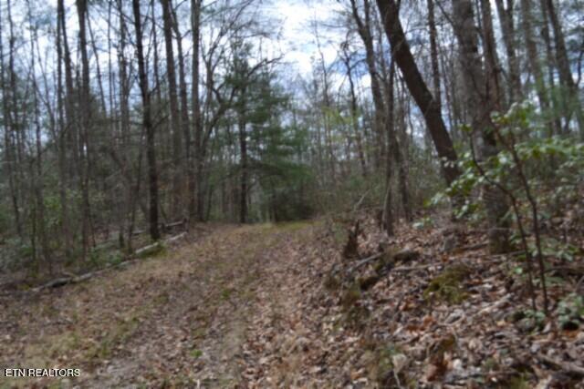 10.79AC S/o Buffalo Road Oneida TN 37841