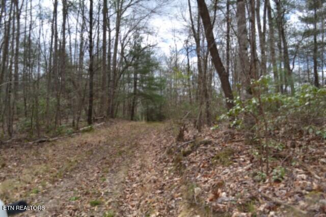 10.79AC S/o Buffalo Road Oneida TN 37841