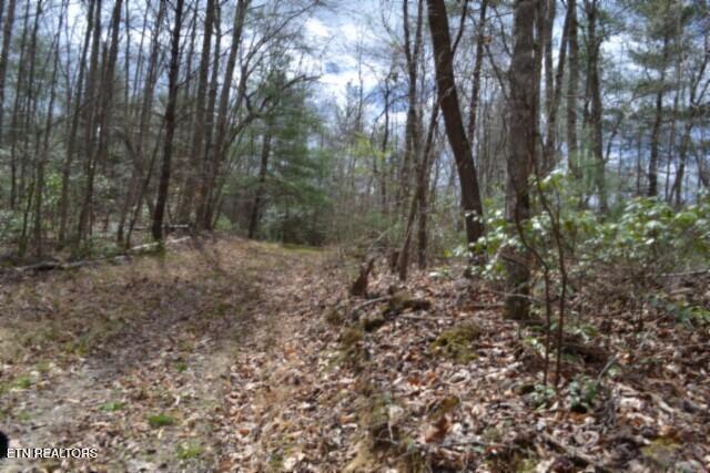 10.79AC S/o Buffalo Road Oneida TN 37841