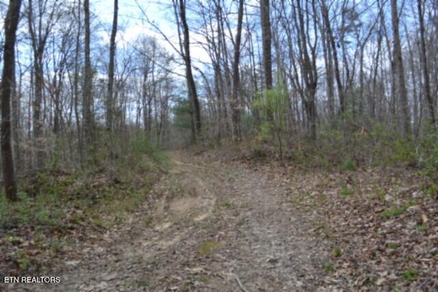 10.79AC S/o Buffalo Road Oneida TN 37841