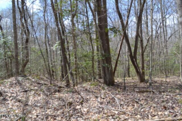 10.79AC S/o Buffalo Road Oneida TN 37841