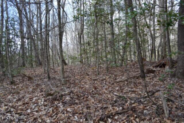 10.79AC S/o Buffalo Road Oneida TN 37841