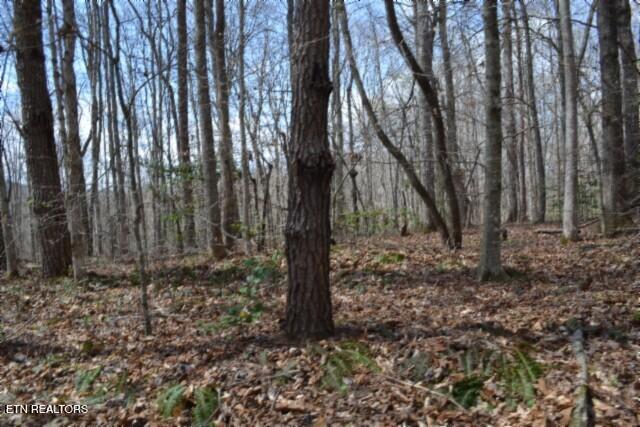10.79AC S/o Buffalo Road Oneida TN 37841