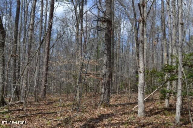 10.79AC S/o Buffalo Road Oneida TN 37841