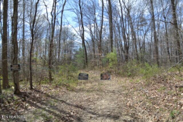 10.79AC S/o Buffalo Road Oneida TN 37841