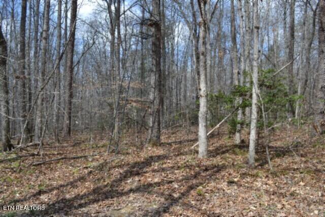 10.79AC S/o Buffalo Road Oneida TN 37841