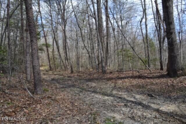 10.79AC S/o Buffalo Road Oneida TN 37841