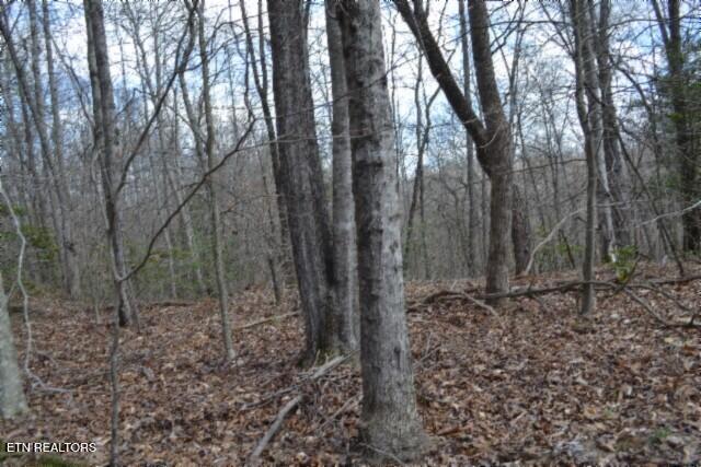 10.79AC S/o Buffalo Road Oneida TN 37841