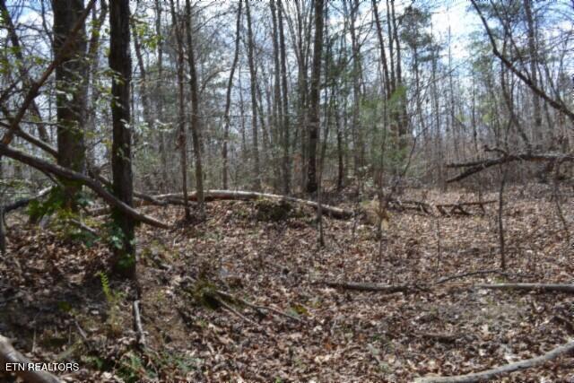 10.79AC S/o Buffalo Road Oneida TN 37841