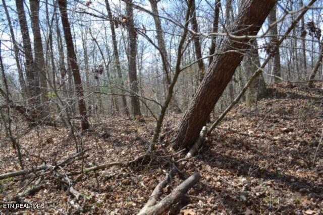 10.79AC S/o Buffalo Road Oneida TN 37841
