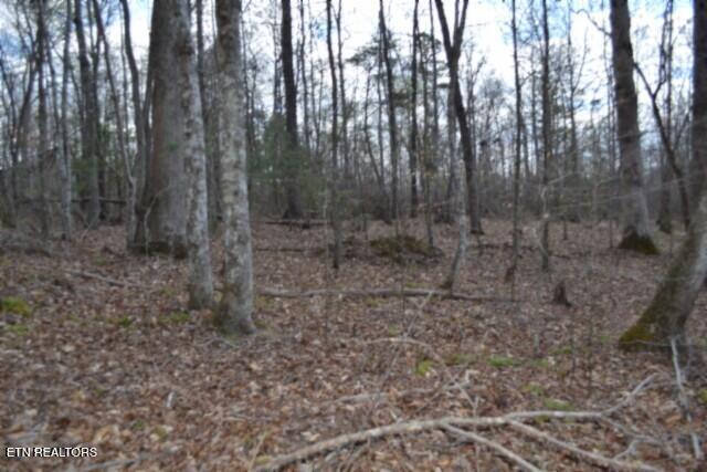 10.79AC S/o Buffalo Road Oneida TN 37841