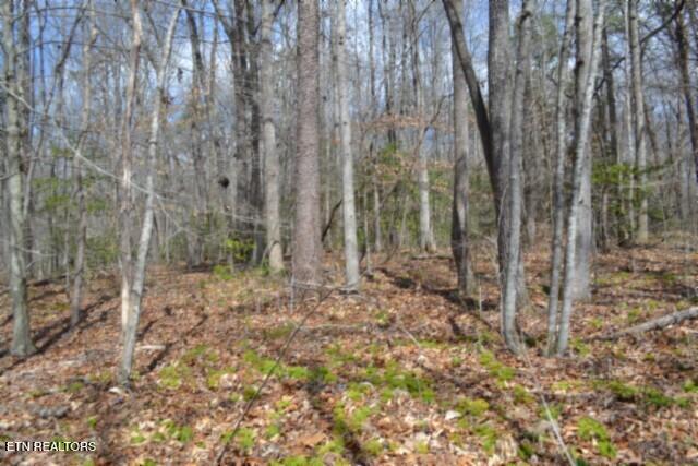 10.79AC S/o Buffalo Road Oneida TN 37841