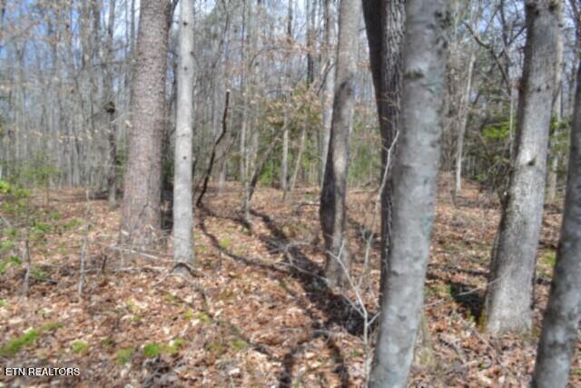 10.79AC S/o Buffalo Road Oneida TN 37841
