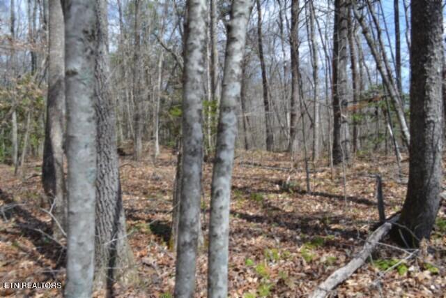 10.79AC S/o Buffalo Road Oneida TN 37841
