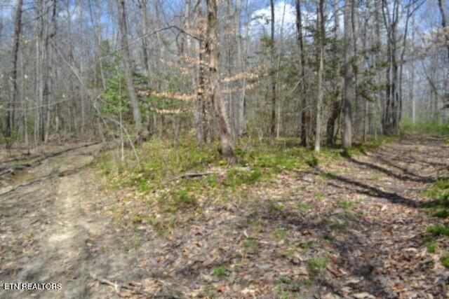10.79AC S/o Buffalo Road Oneida TN 37841