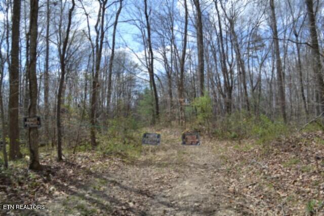 10.79AC S/o Buffalo Road Oneida TN 37841