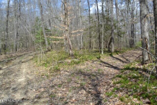 10.79AC S/o Buffalo Road Oneida TN 37841