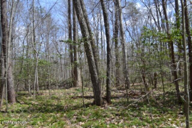 10.79AC S/o Buffalo Road Oneida TN 37841