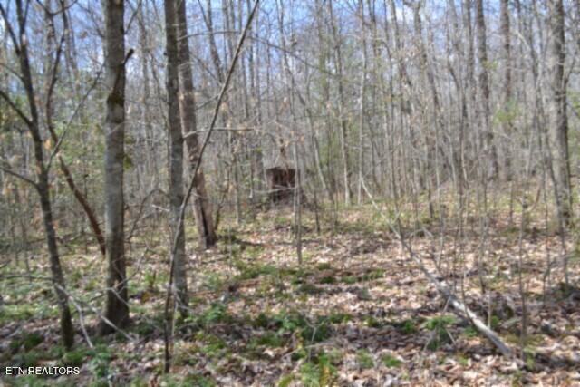 10.79AC S/o Buffalo Road Oneida TN 37841