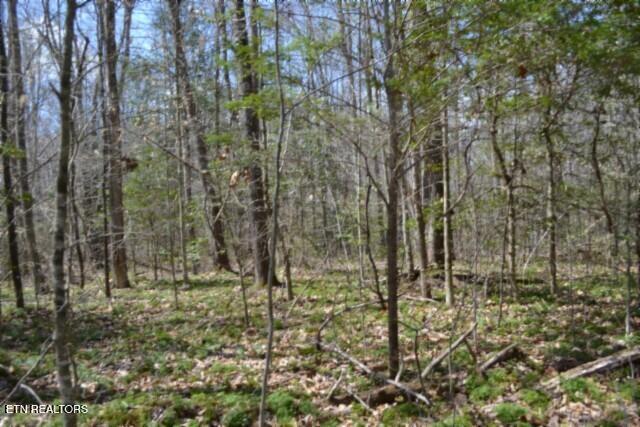 10.79AC S/o Buffalo Road Oneida TN 37841