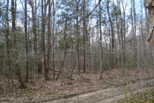 10.79AC S/o Buffalo Road Oneida TN 37841
