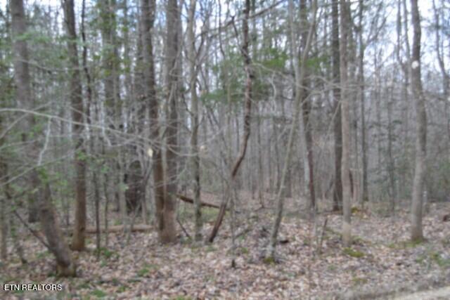 10.79AC S/o Buffalo Road Oneida TN 37841