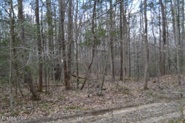 10.79AC S/o Buffalo Road Oneida TN 37841