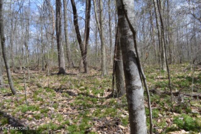 10.79AC S/o Buffalo Road Oneida TN 37841