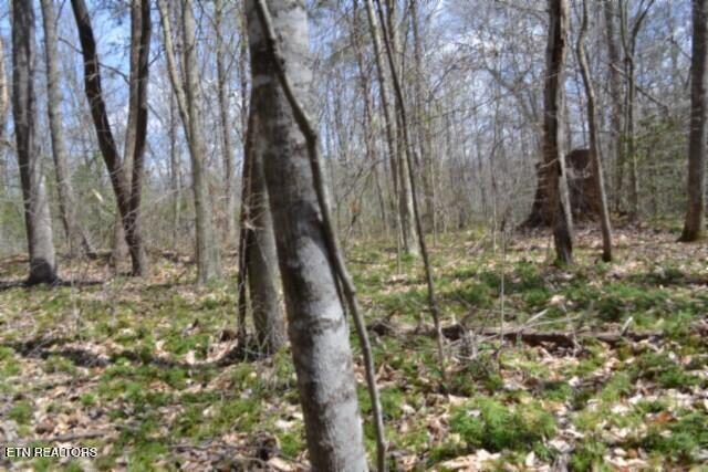 10.79AC S/o Buffalo Road Oneida TN 37841
