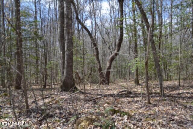 10.79AC S/o Buffalo Road Oneida TN 37841