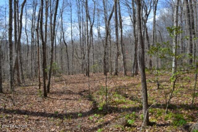 10.79AC S/o Buffalo Road Oneida TN 37841