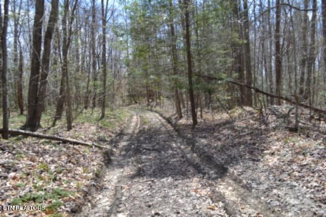 10.79AC S/o Buffalo Road Oneida TN 37841