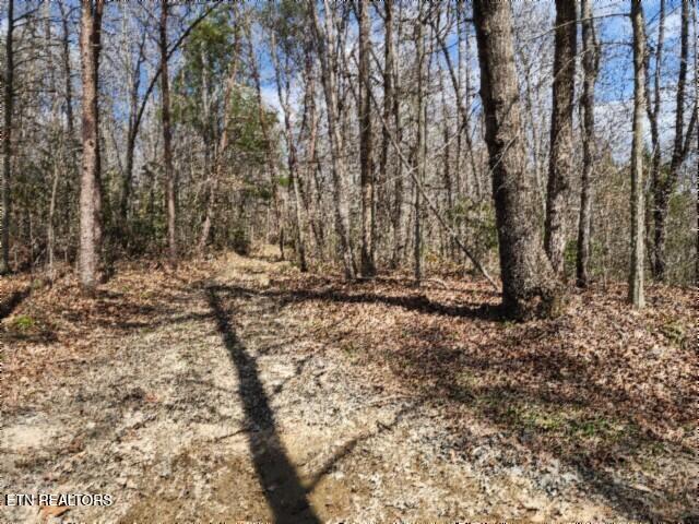 10.79AC S/o Buffalo Road Oneida TN 37841