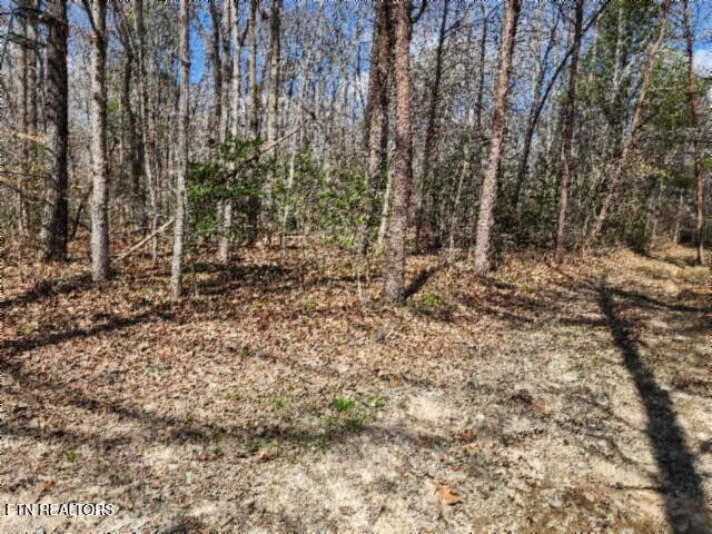 10.79AC S/o Buffalo Road Oneida TN 37841