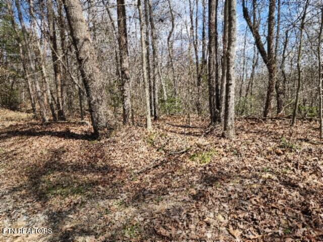 10.79AC S/o Buffalo Road Oneida TN 37841