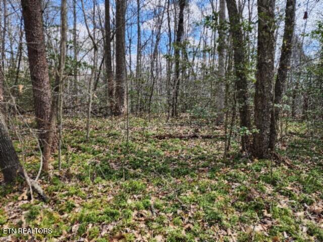 10.79AC S/o Buffalo Road Oneida TN 37841
