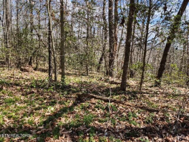 10.79AC S/o Buffalo Road Oneida TN 37841