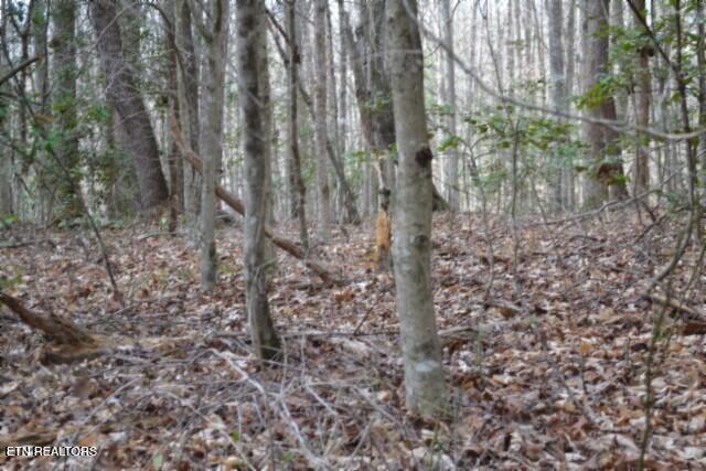 10.79AC S/o Buffalo Road Oneida TN 37841