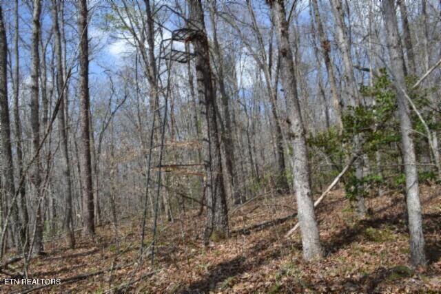 10.79AC S/o Buffalo Road Oneida TN 37841