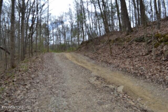 10.79AC S/o Buffalo Road Oneida TN 37841